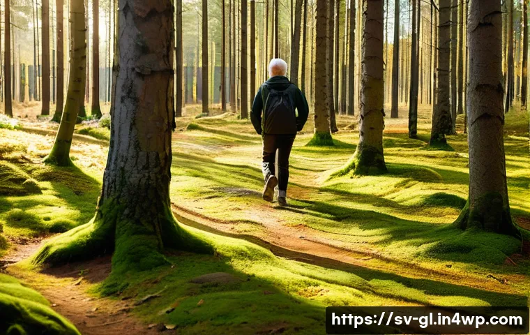 자기 위로를 위한 자연 속 활동 - A serene Swedish forest scene during early autumn, soft golden sunlight filtering through tall pine ...