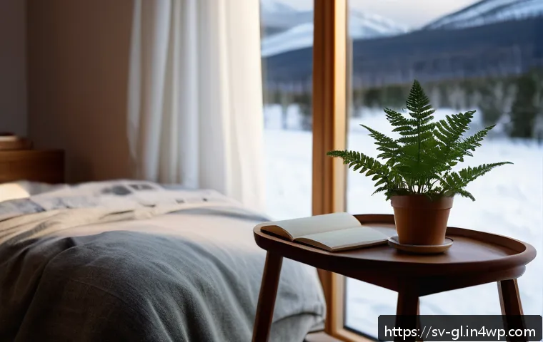 자기 위로와 감정적 지능 향상 - A serene and cozy Scandinavian bedroom scene at dusk, featuring a young adult sitting on a wooden ch...